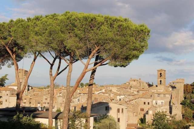 Casa Sermichelino Villa Vitorchiano Eksteriør bilde